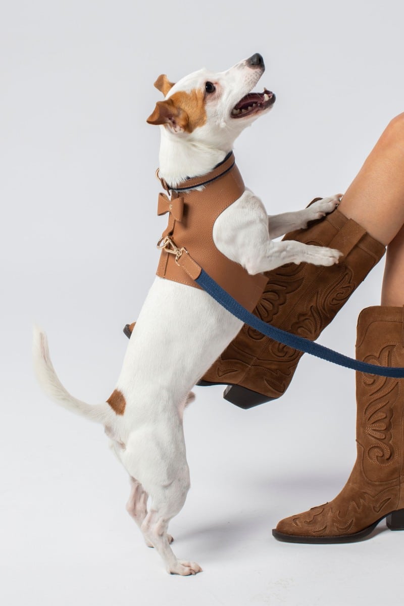 VEST HARNESS IN CARAMEL BROWN