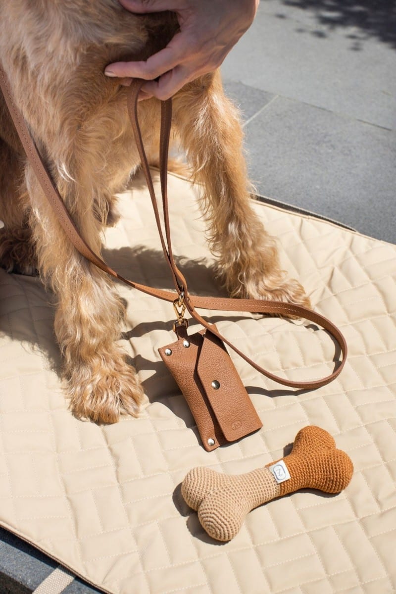 LEATHER LEASH IN CARAMEL BROWN