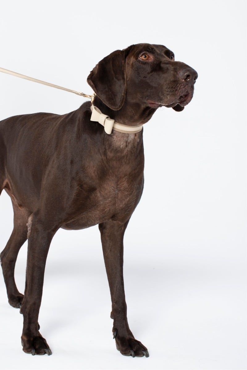 BOWTIE IN IVORY BEIGE