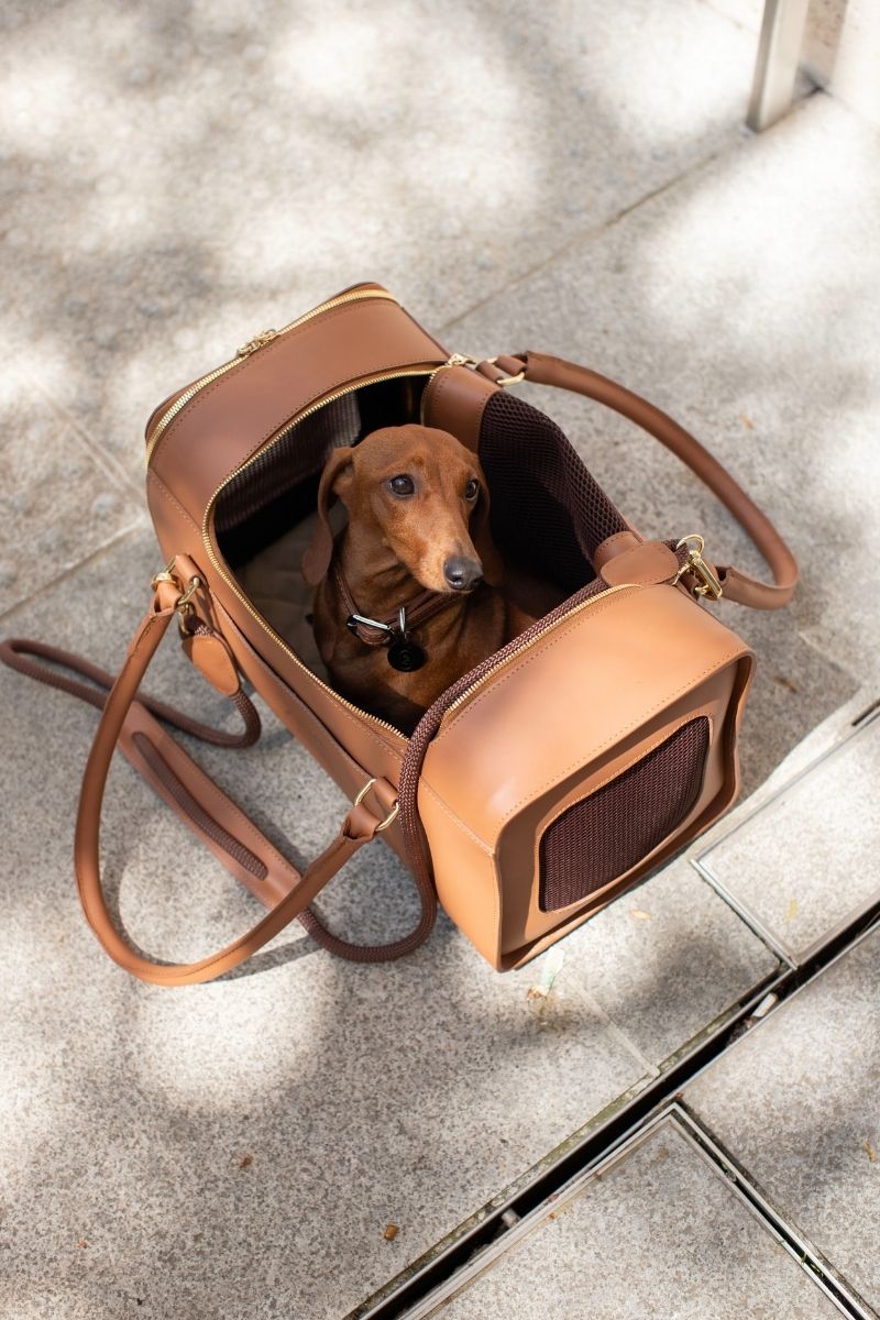 AIR CARRIER IN CARAMEL BROWN