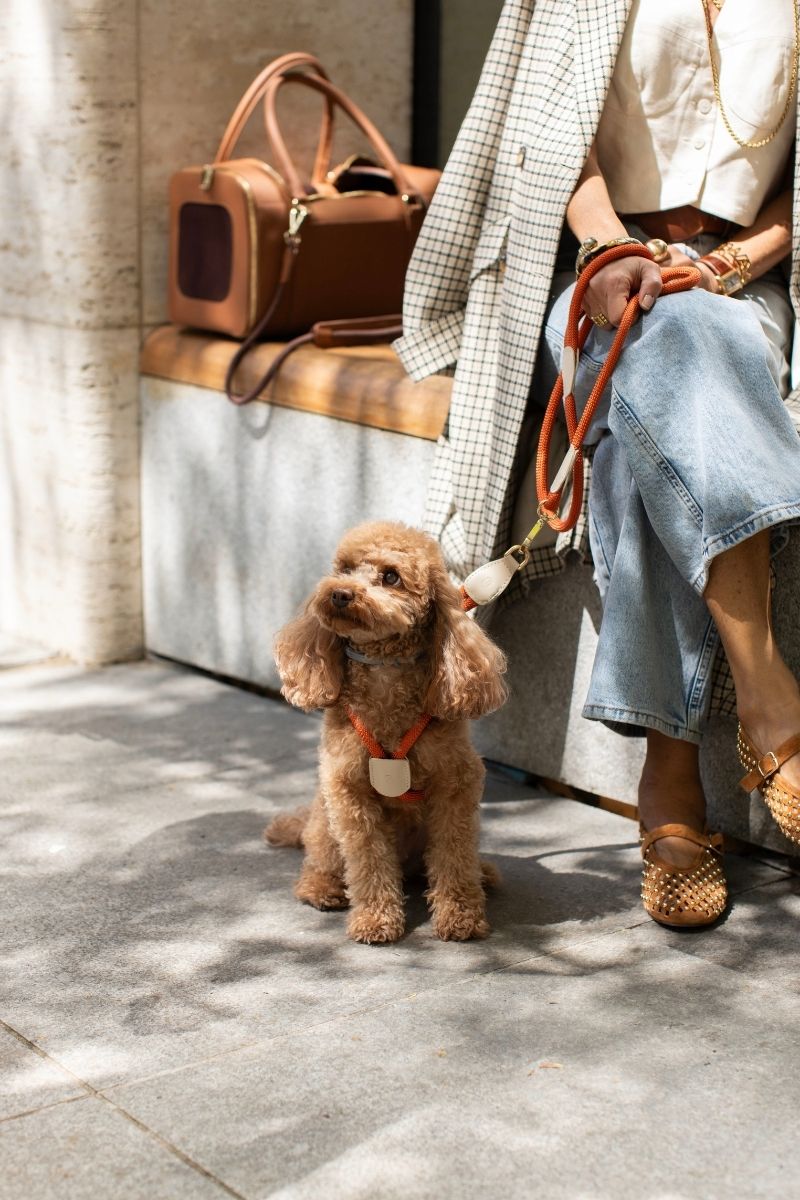 LOOP HARNESS IN RUSTY ORANGE