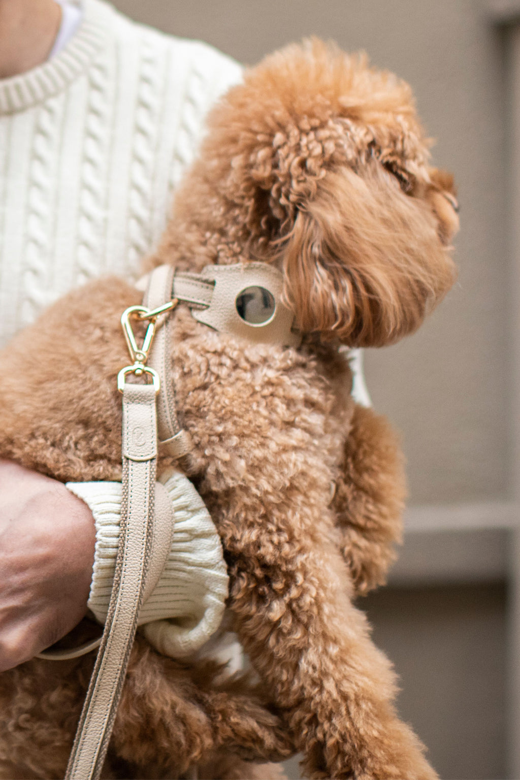 IVORY BEIGE AIRTAG CASE