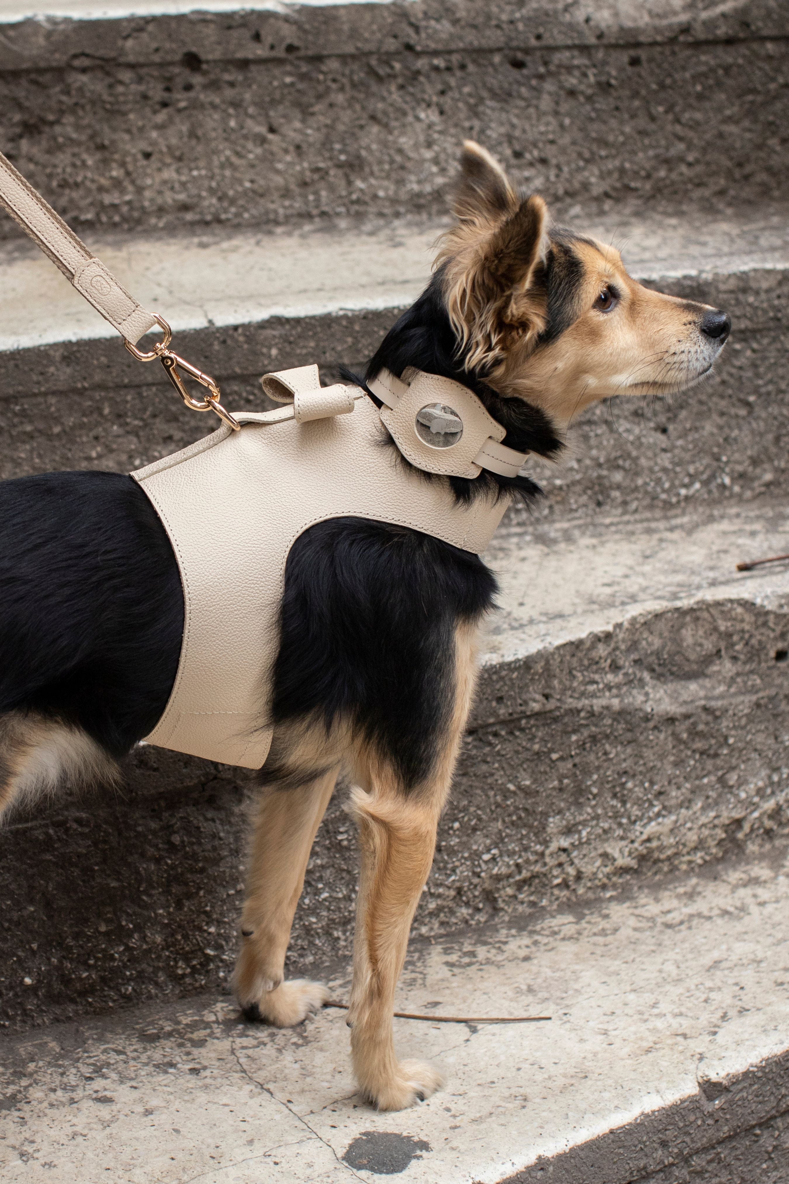 IVORY BEIGE AIRTAG CASE
