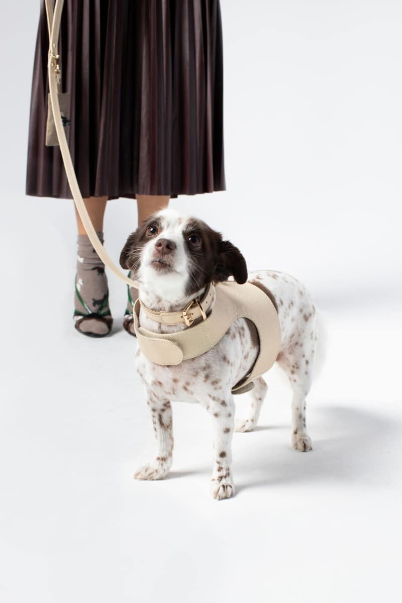 VEST HARNESS IN IVORY BEIGE