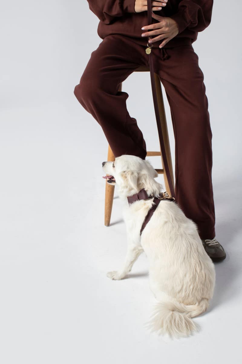 LEATHER LEASH IN VINTAGE BURGUNDY