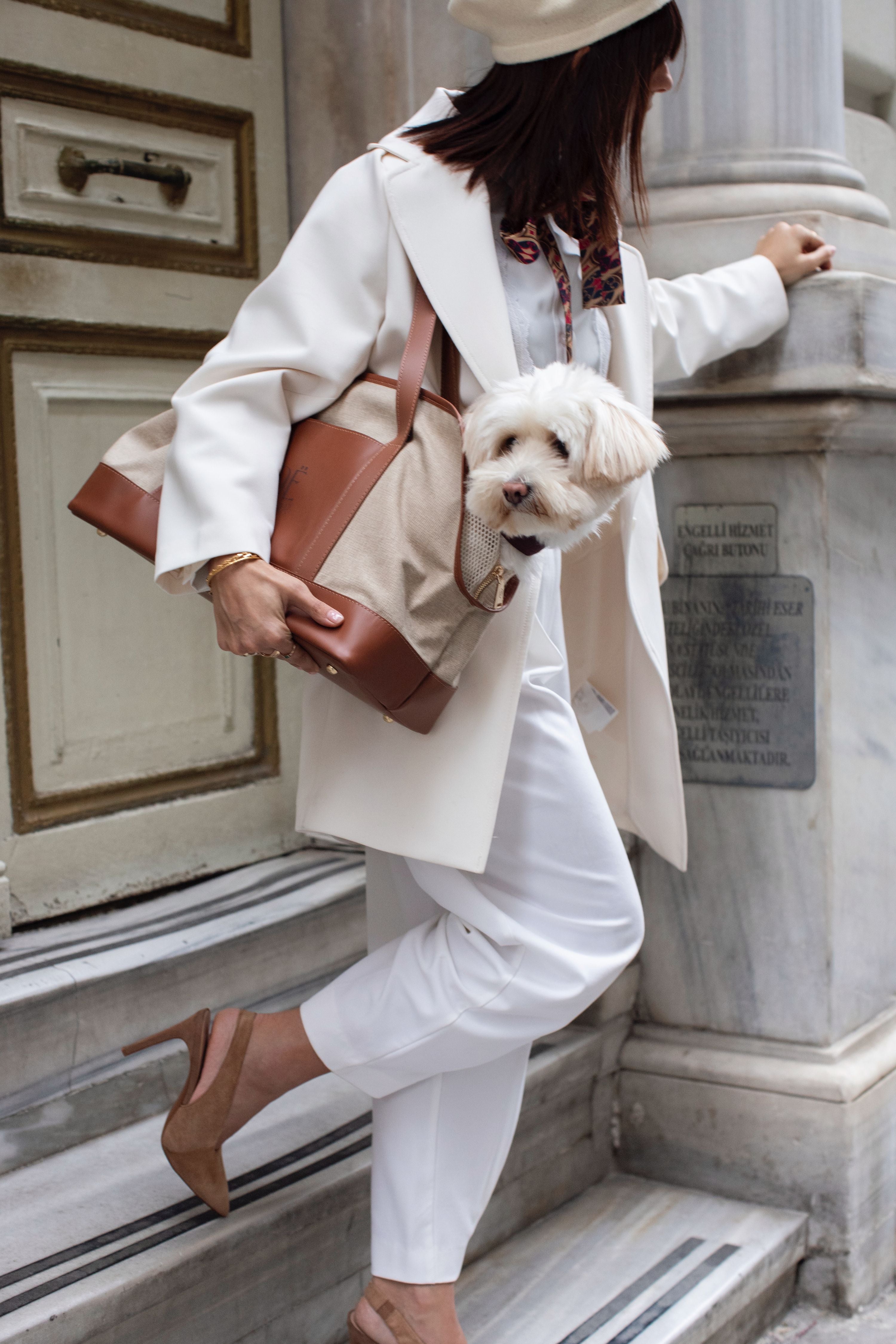 CITY CARRIER IN CARAMEL BROWN