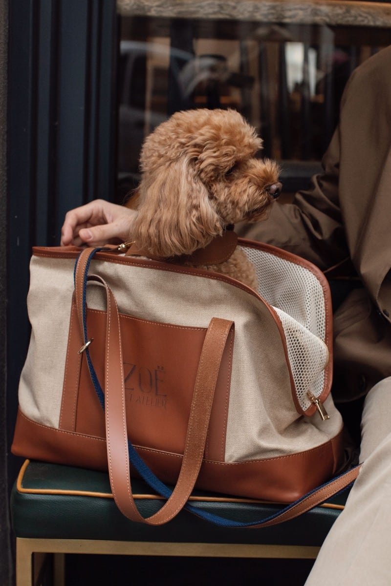 CITY CARRIER IN CARAMEL BROWN