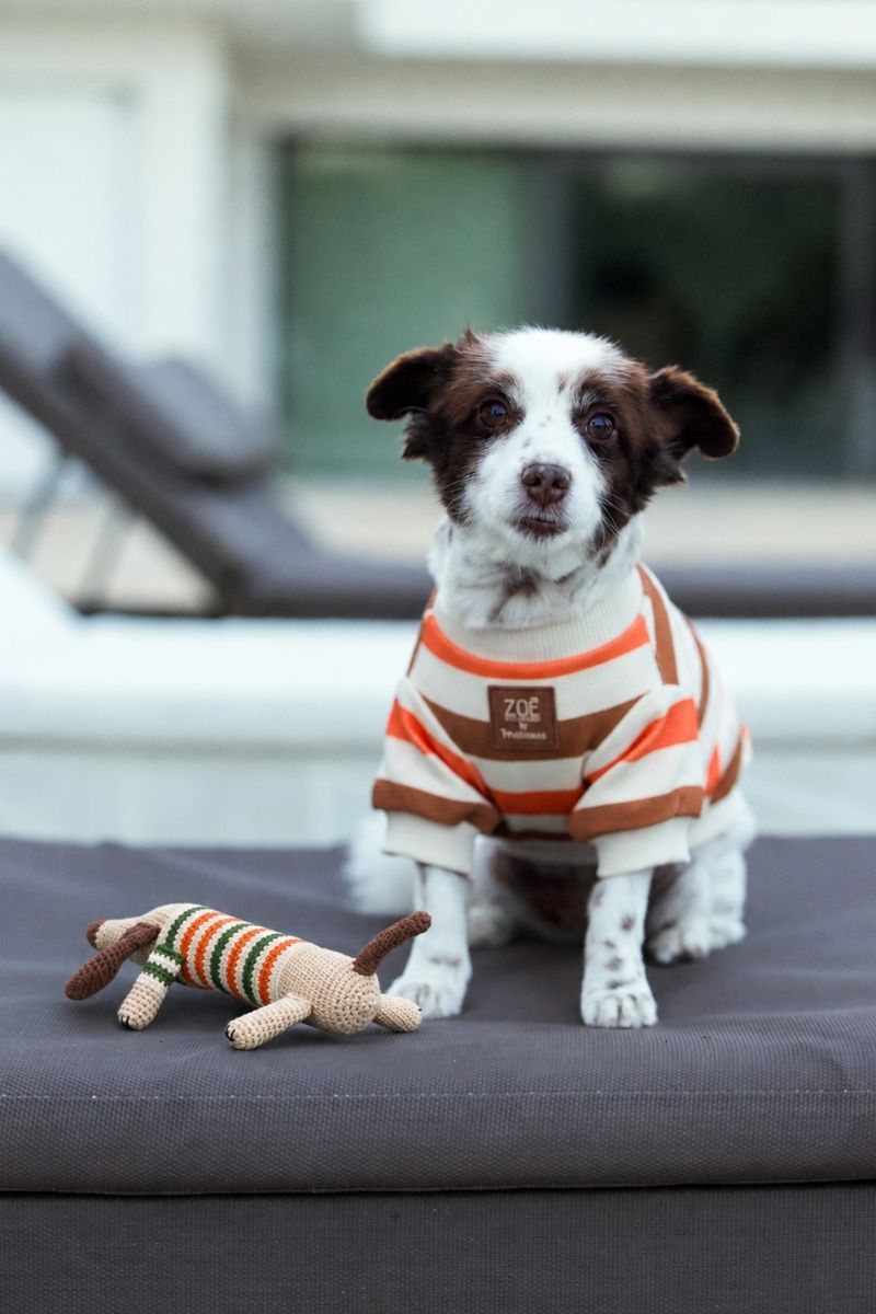 Zoë Pet Atelier × Lolidogs | Basic Stripe Caramel