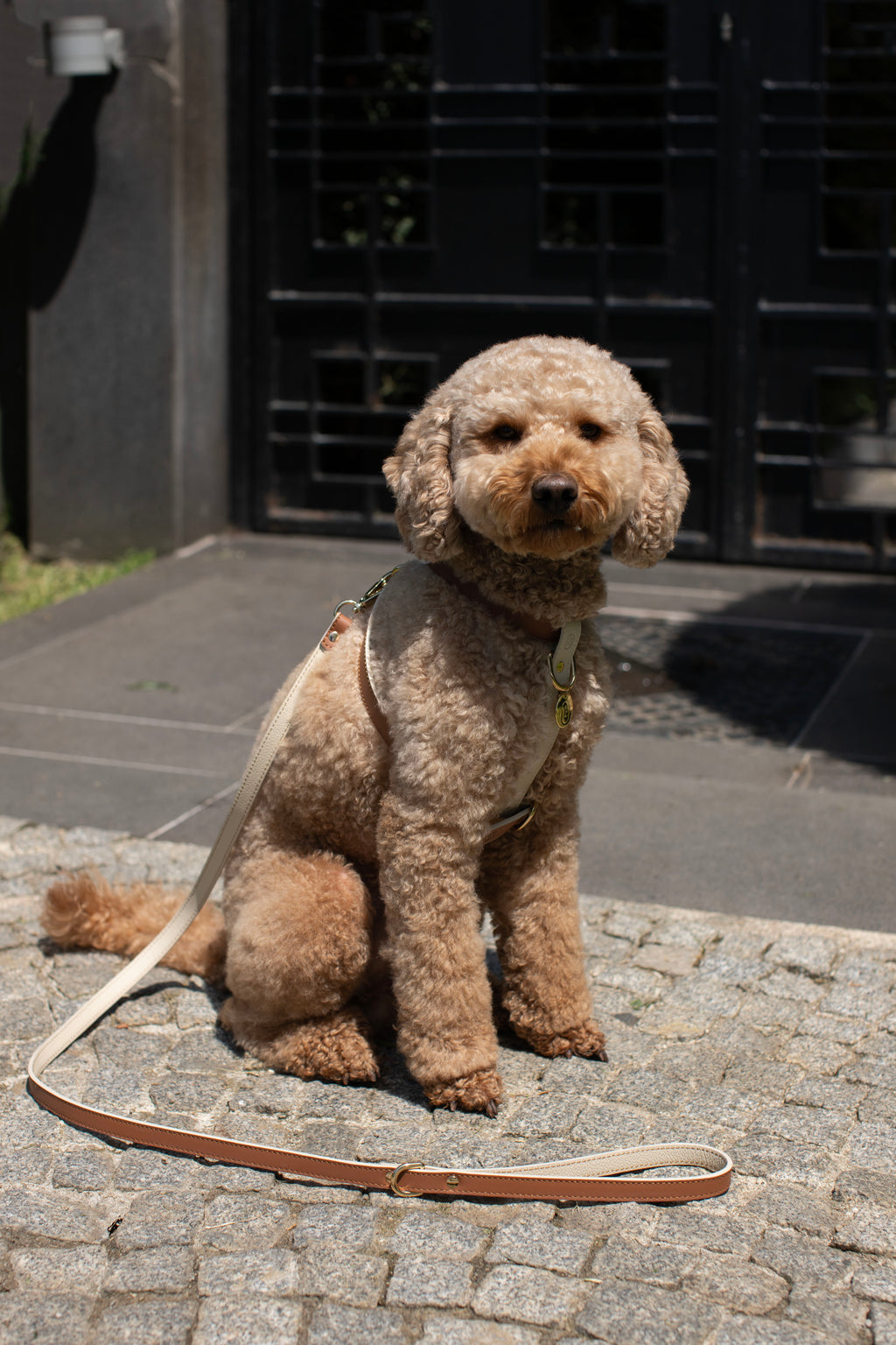 LEATHER LEASH IN CARAMEL-BEIGE