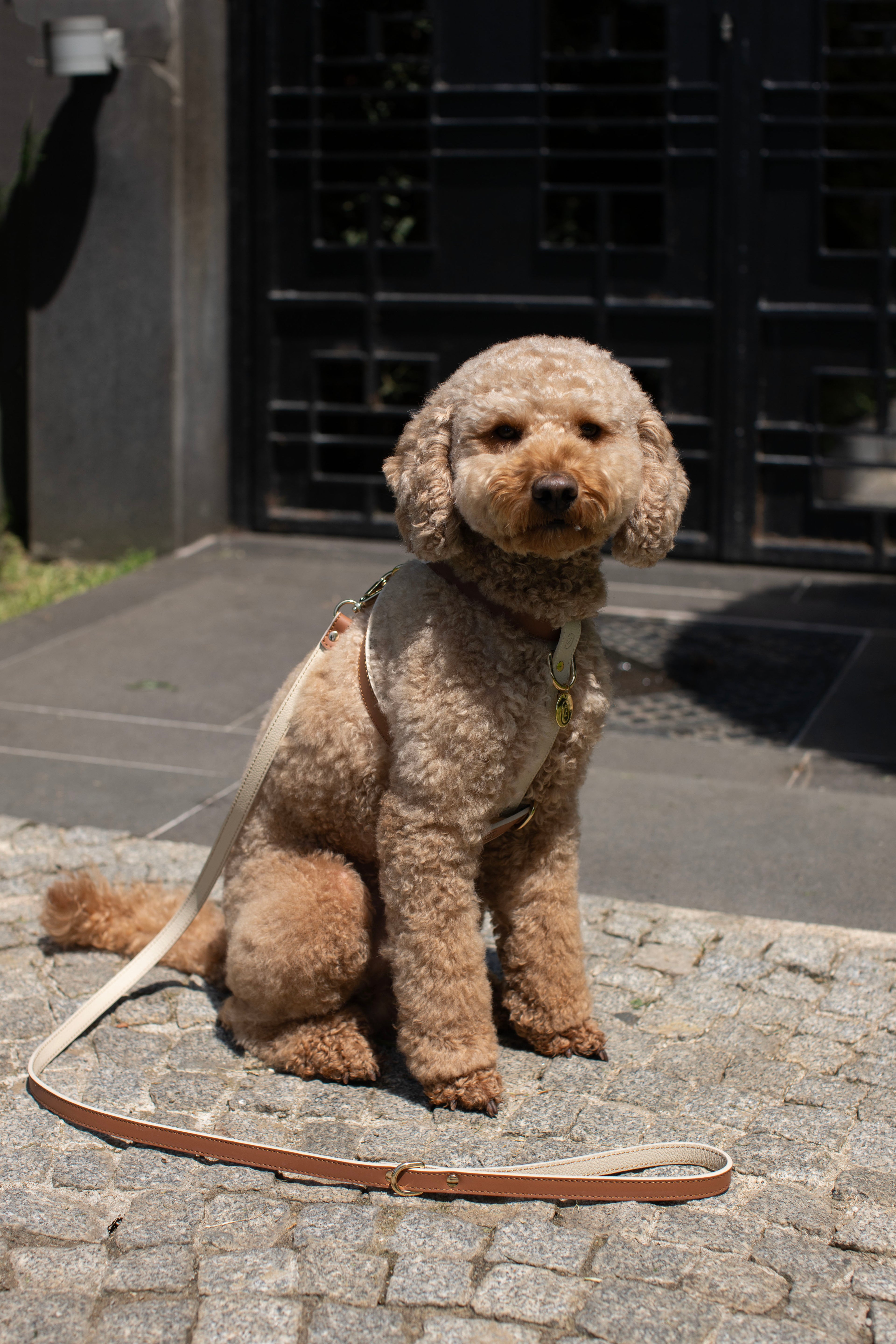 CROSS HARNESS IN CARAMEL-BEIGE