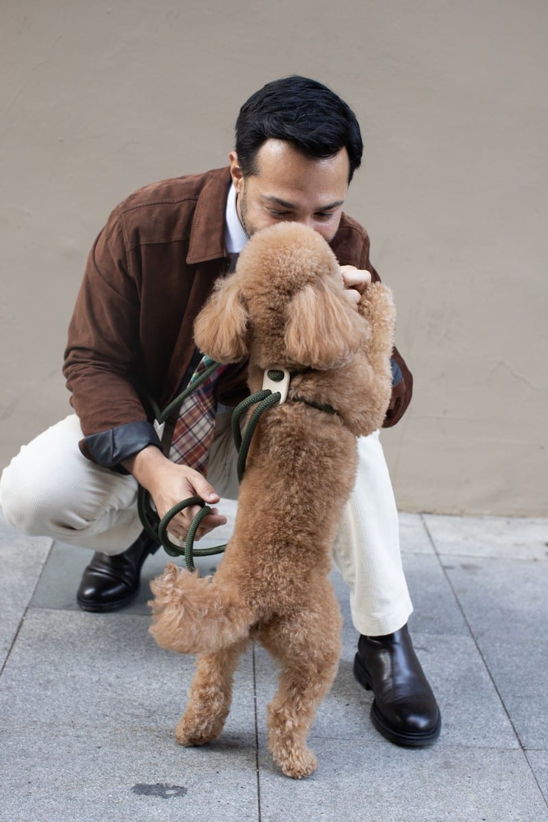 ALL IN 1 LOOP HARNESS IN ARMY GREEN