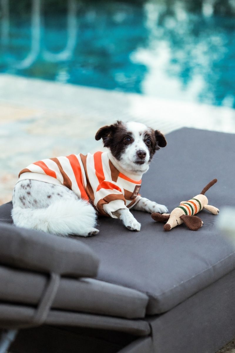 STRIPE DOG TOY