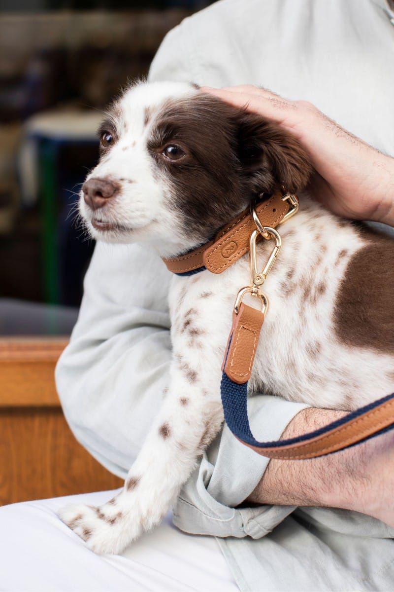 COTTON & LEATHER COLLAR IN BROWN