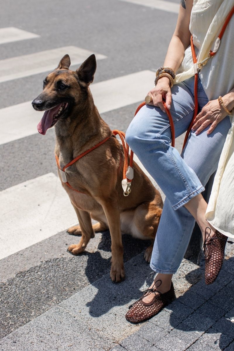 LOOP HARNESS IN RUSTY ORANGE