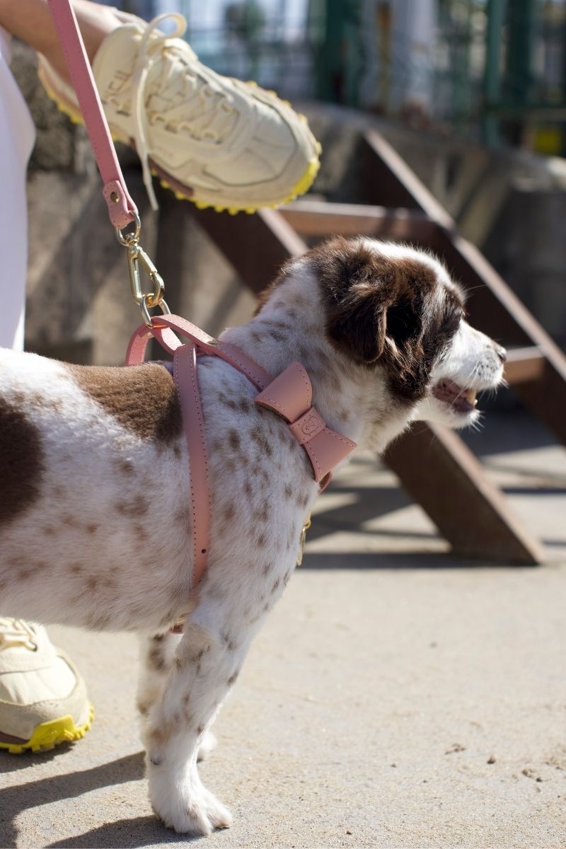 CROSS HARNESS IN POWDER-PINK