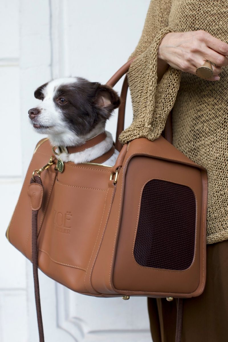 AIR CARRIER IN CARAMEL BROWN