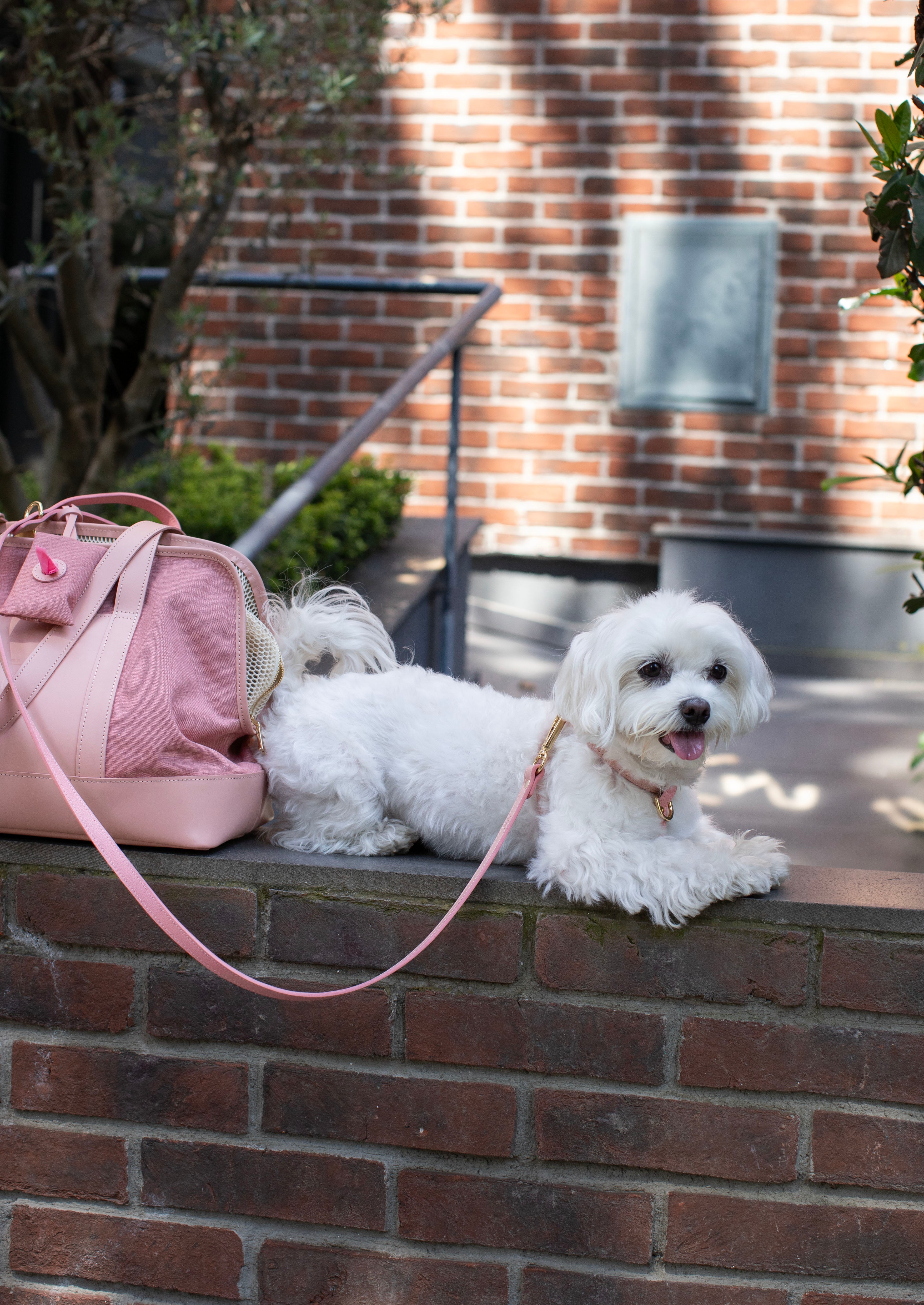 CROSS HARNESS IN POWDER-PINK