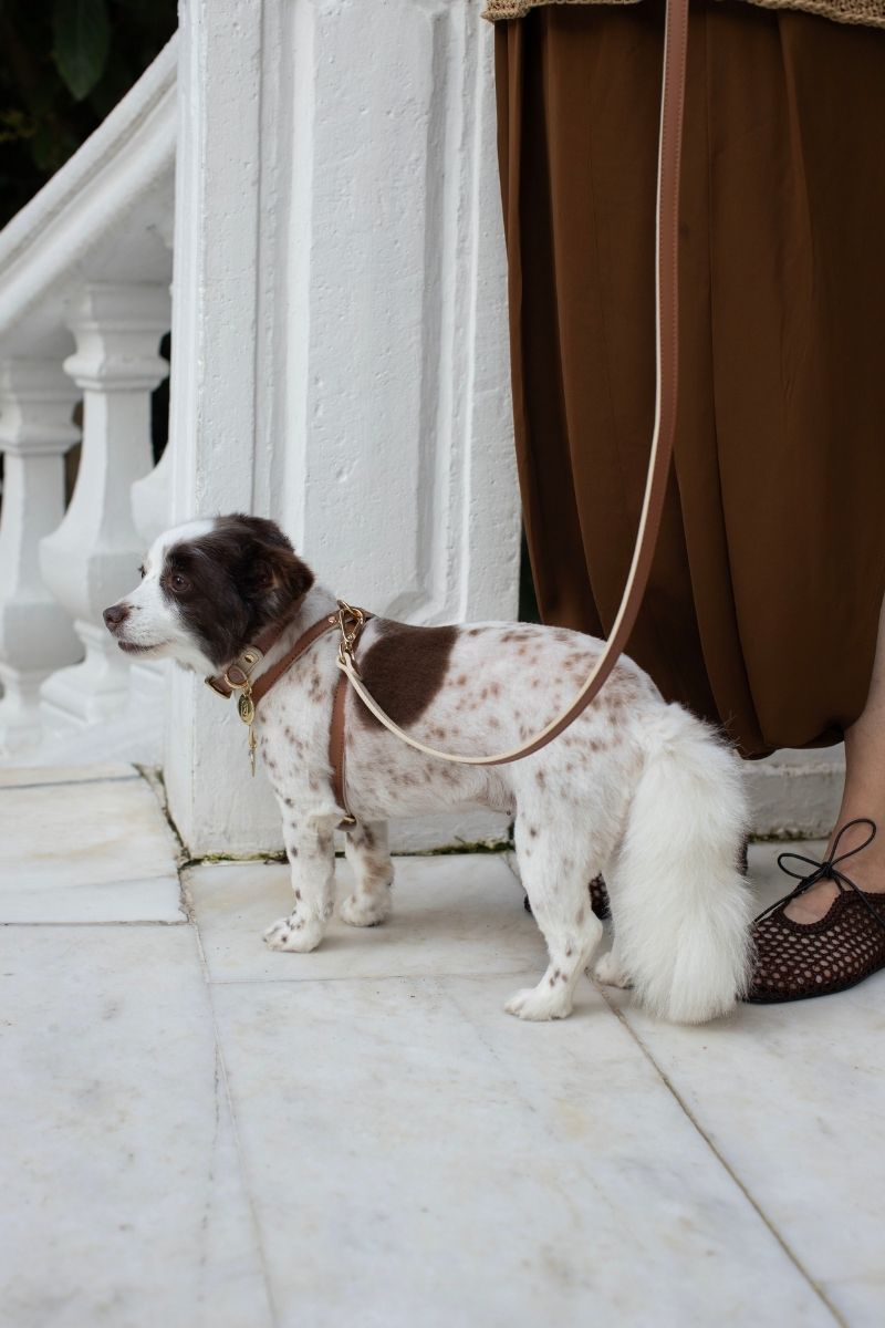 CROSS HARNESS IN CARAMEL-BEIGE