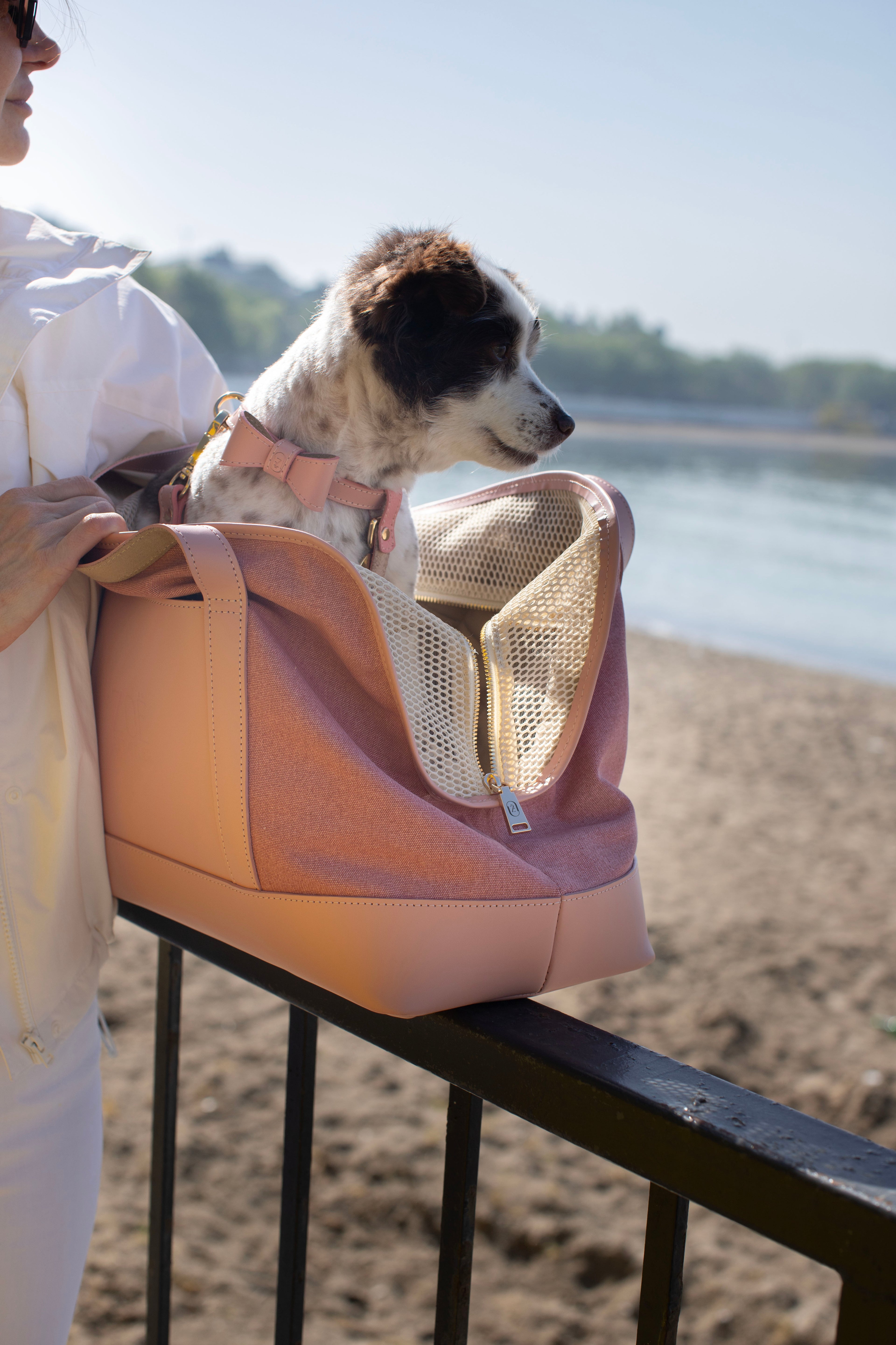 CITY CARRIER IN PINK