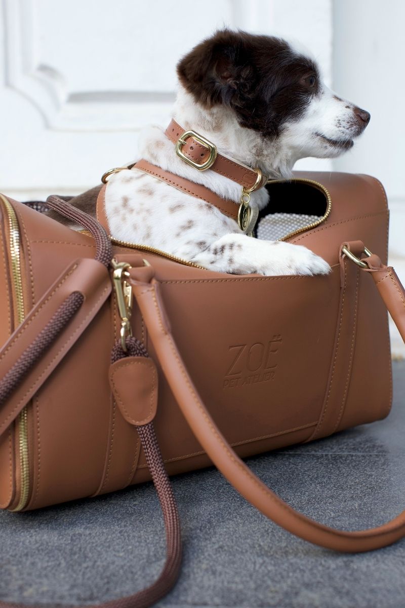 LEATHER COLLAR IN CARAMEL-BEIGE