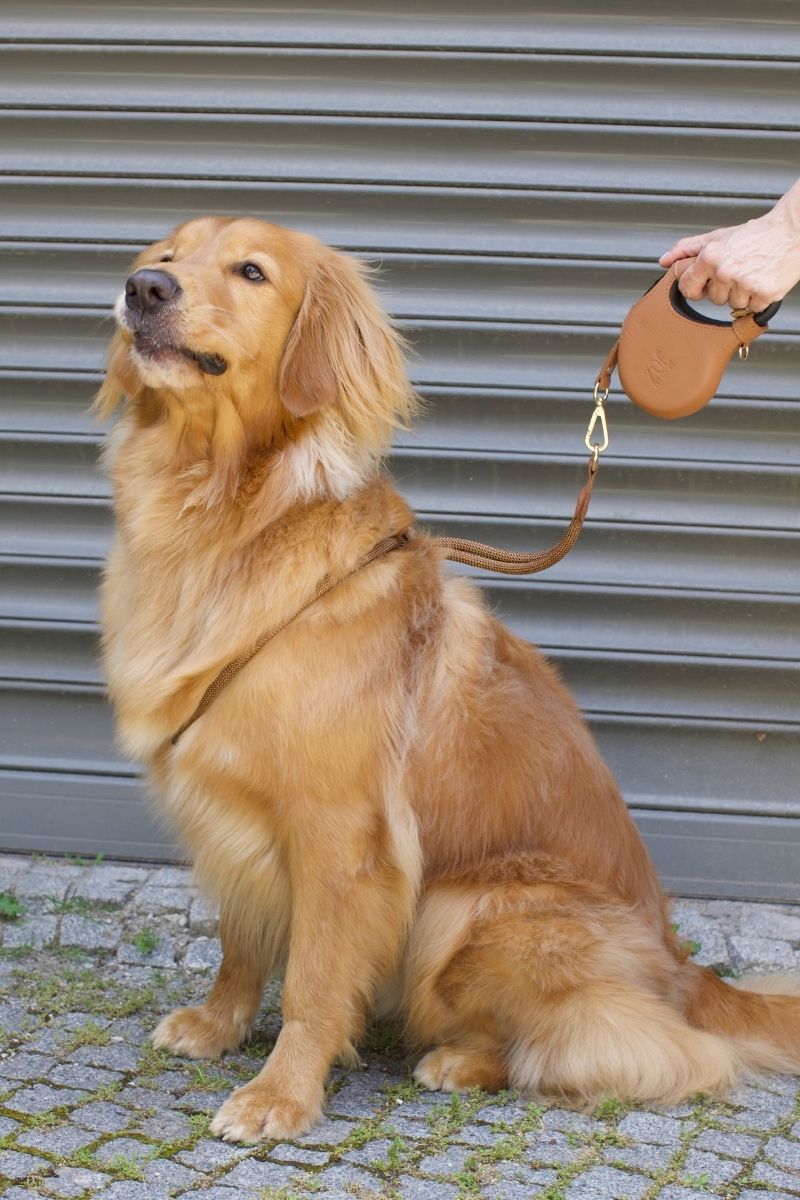 LOOP HARNESS IN CARAMEL BROWN