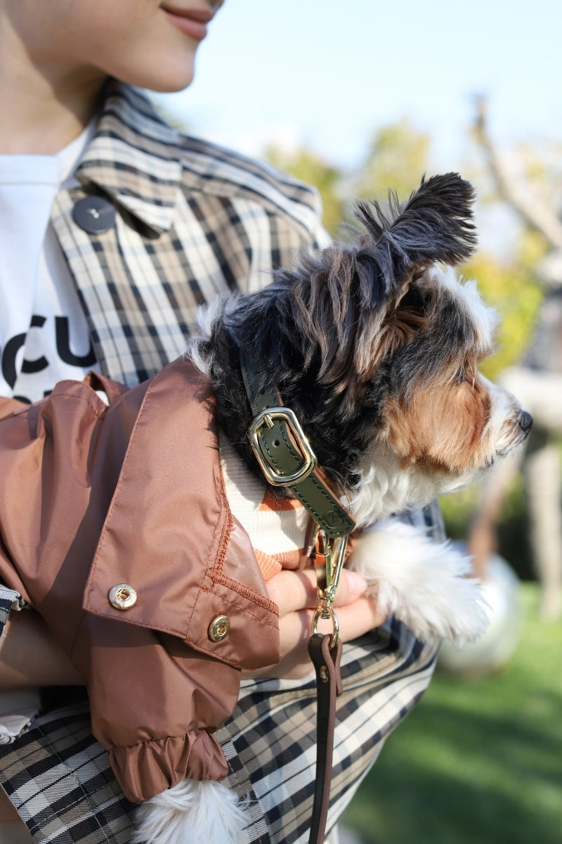 LEATHER COLLAR IN ARMY-CARAMEL | GOLD