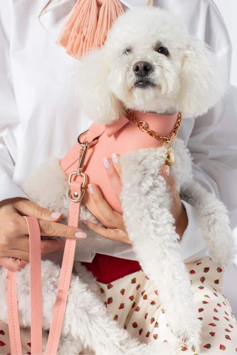 LEATHER LEASH IN CANDY PINK