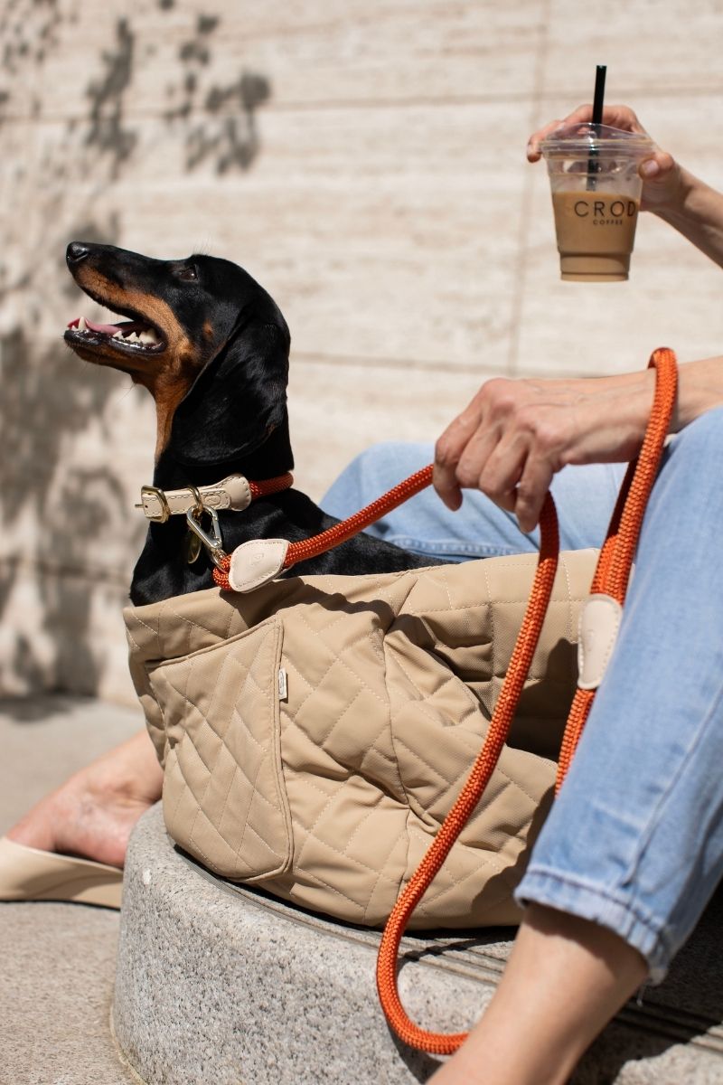 LOOP LEASH IN RUSTY ORANGE