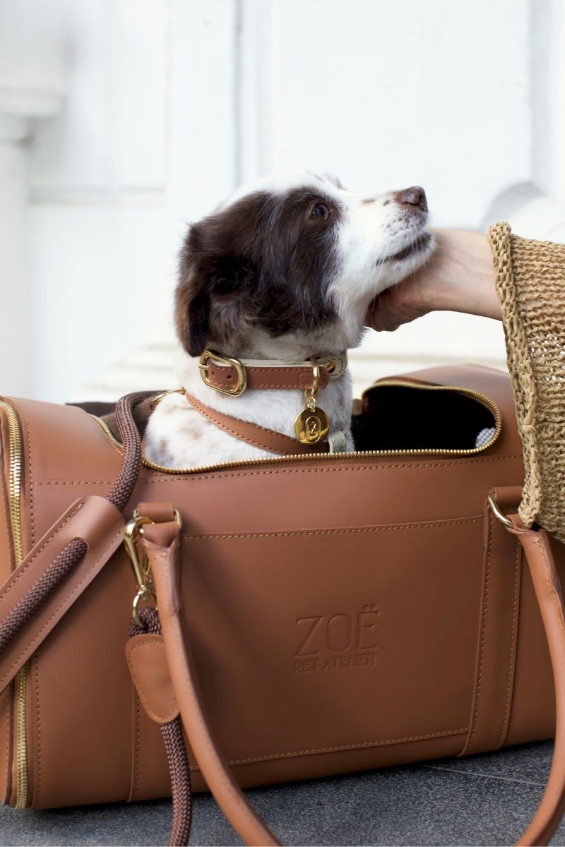 LEATHER COLLAR IN CARAMEL-BEIGE