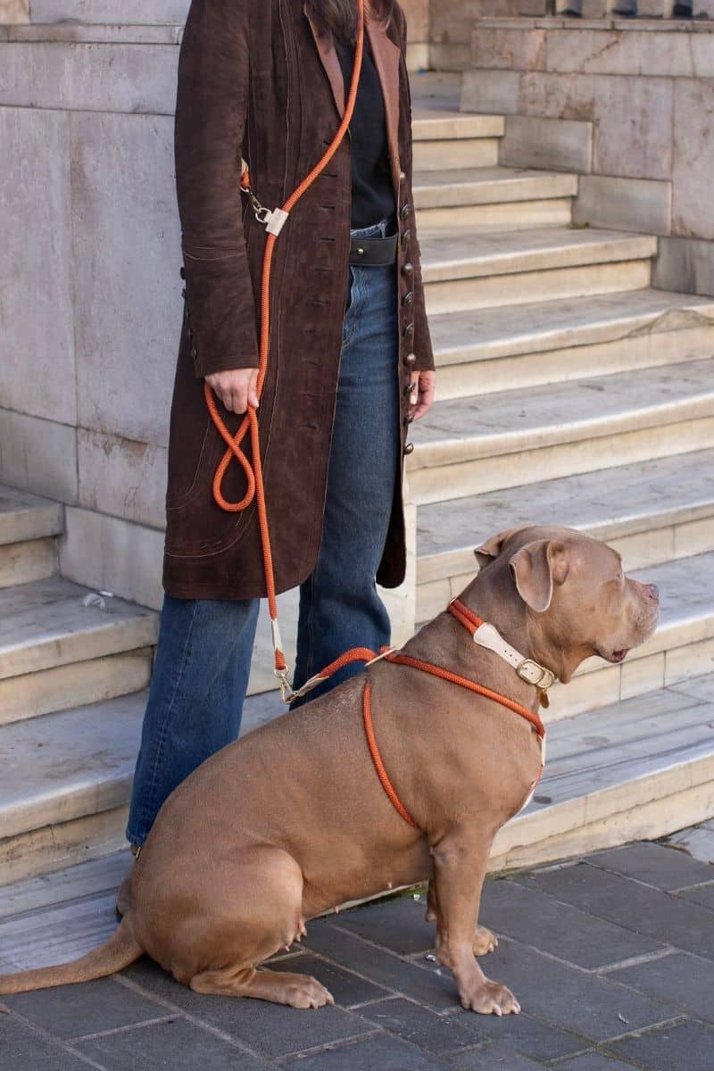 LOOP CROSSBODY LEASH IN RUSTY ORANGE