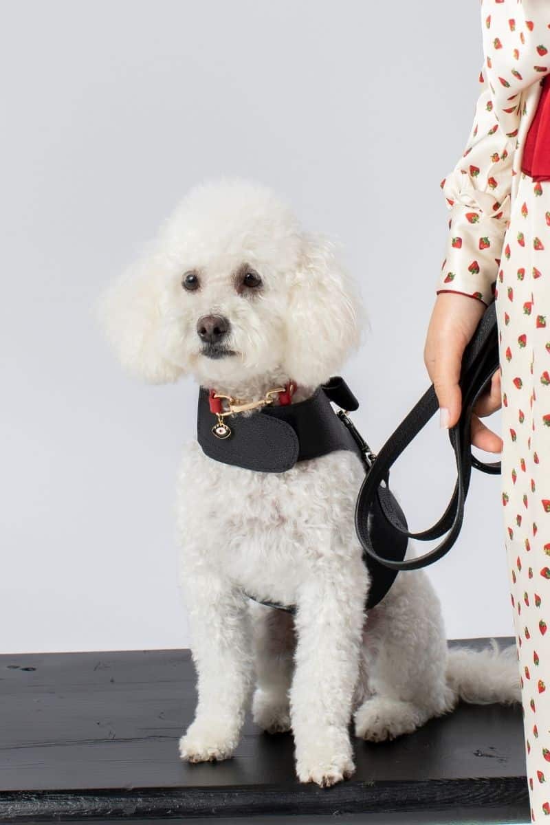 LEATHER LEASH IN MIDNIGHT BLACK