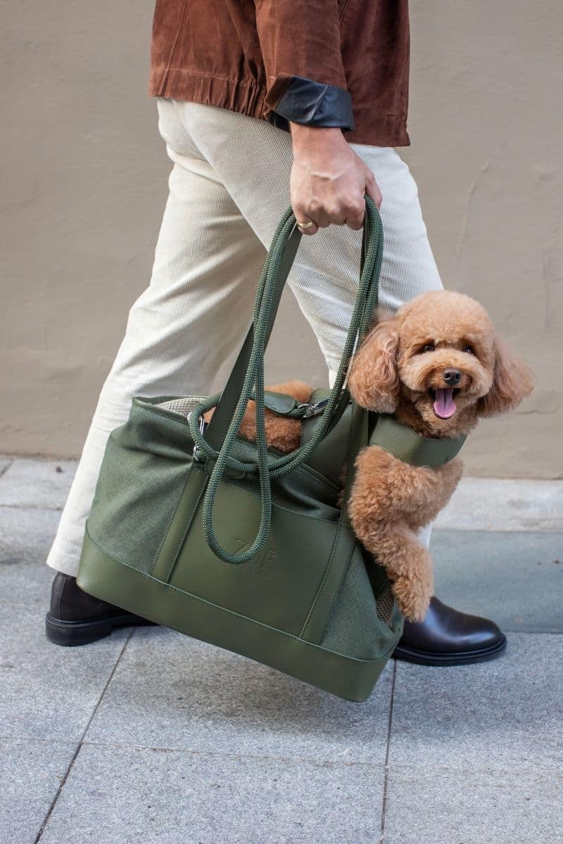 CITY CARRIER IN ARMY GREEN