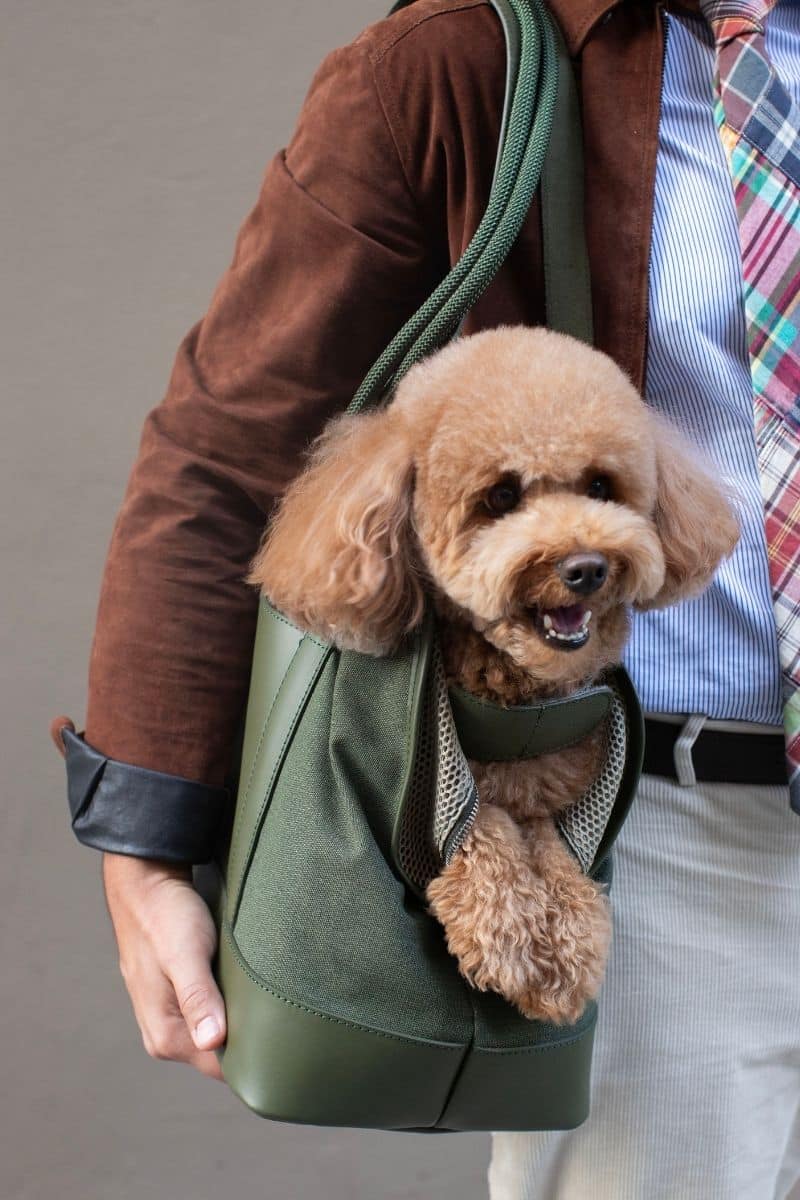 CITY CARRIER IN ARMY GREEN