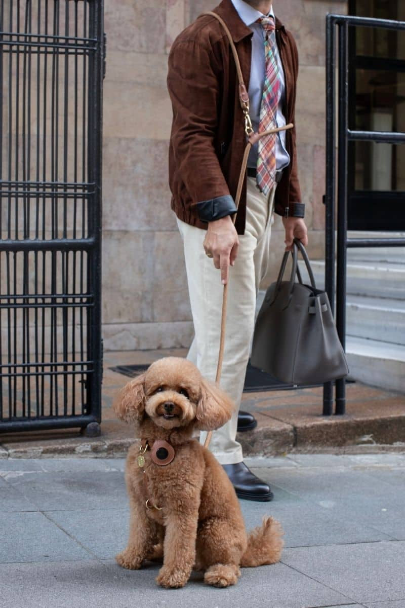 LOOP CROSSBODY LEASH IN CARAMEL BROWN