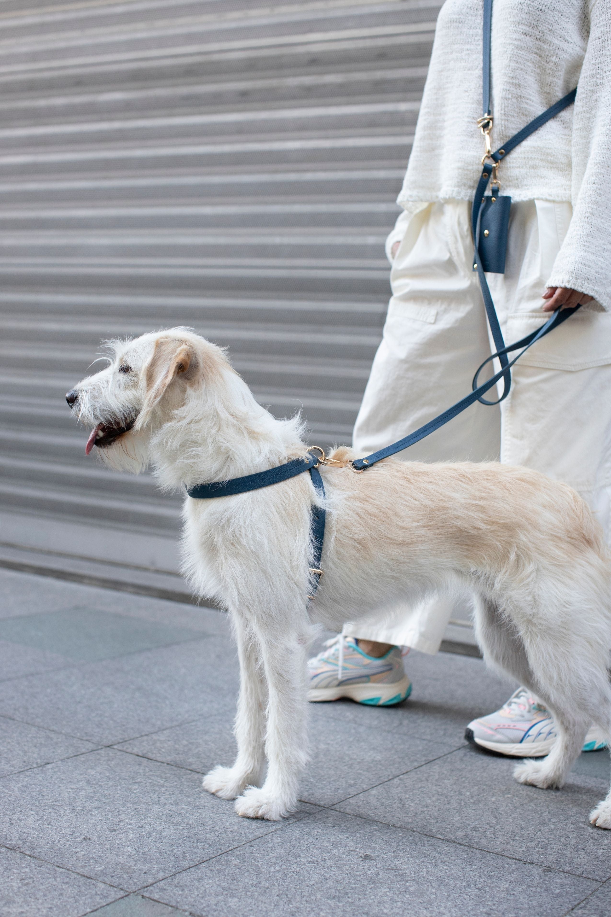 LEATHER CROSSBODY LEASH IN NAVY
