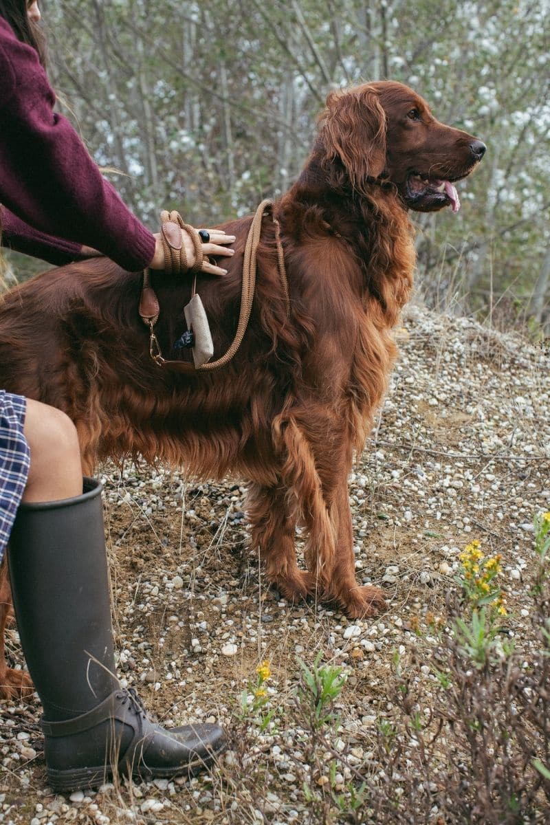 LOOP LEASH IN CARAMEL BROWN