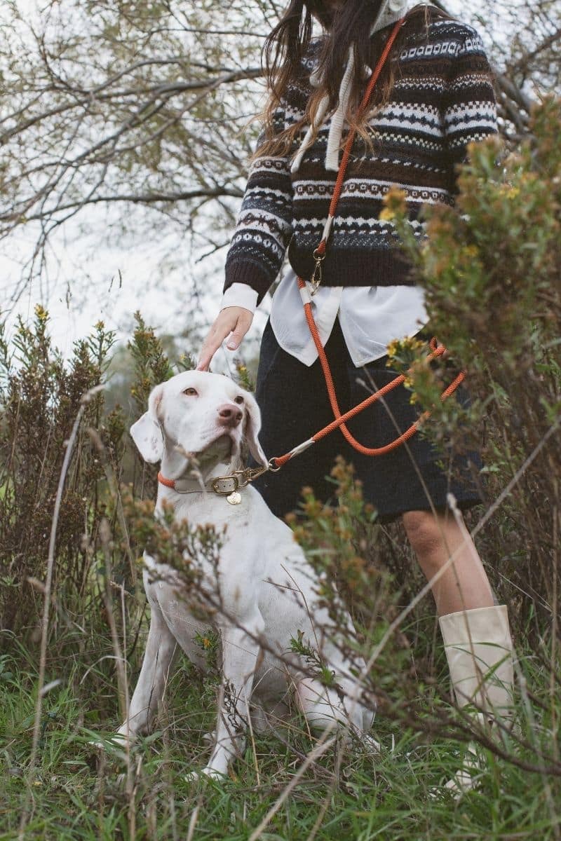 LOOP CROSSBODY LEASH IN RUSTY ORANGE