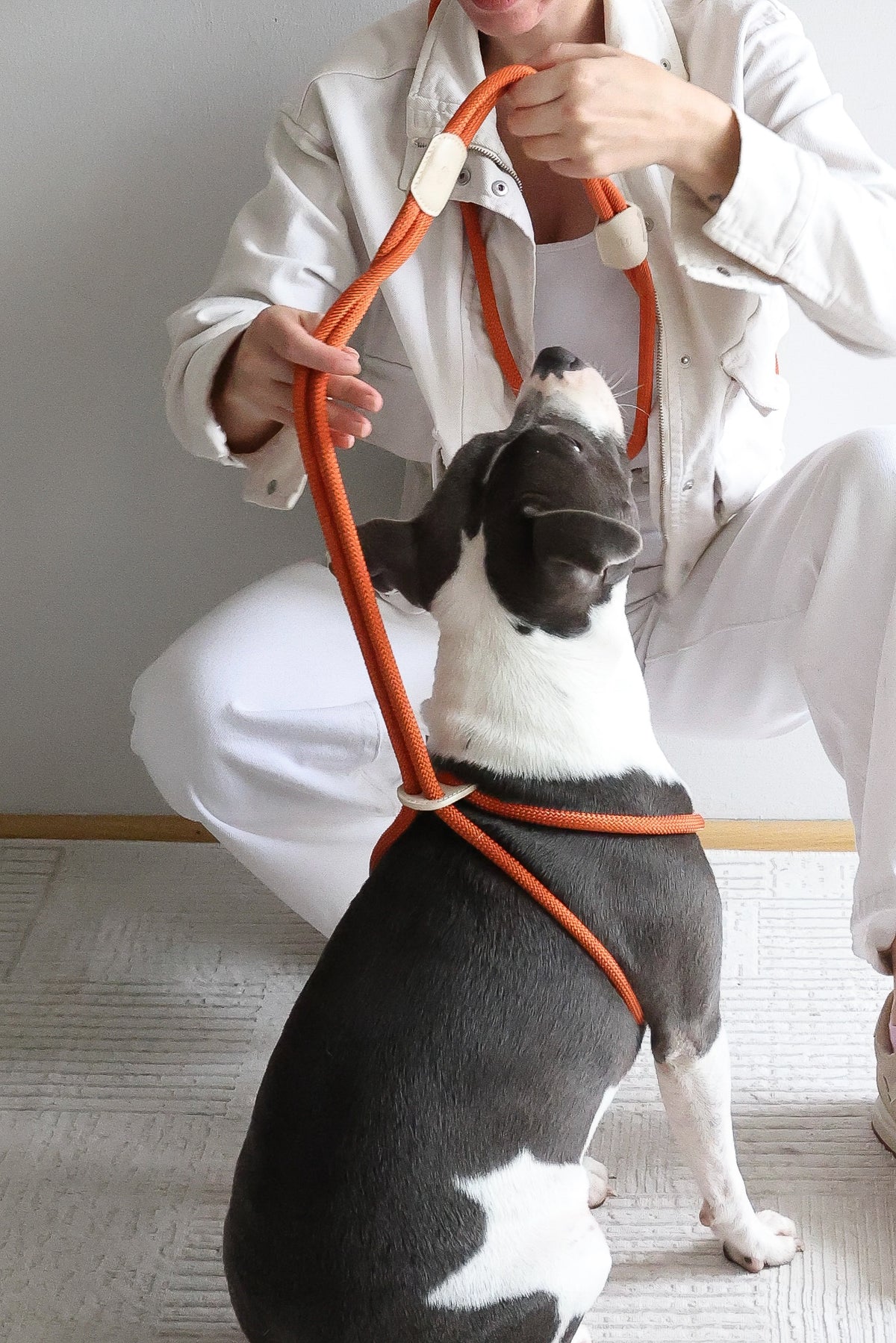 ALL IN 1 LOOP HARNESS IN RUSTY ORANGE BEIGE