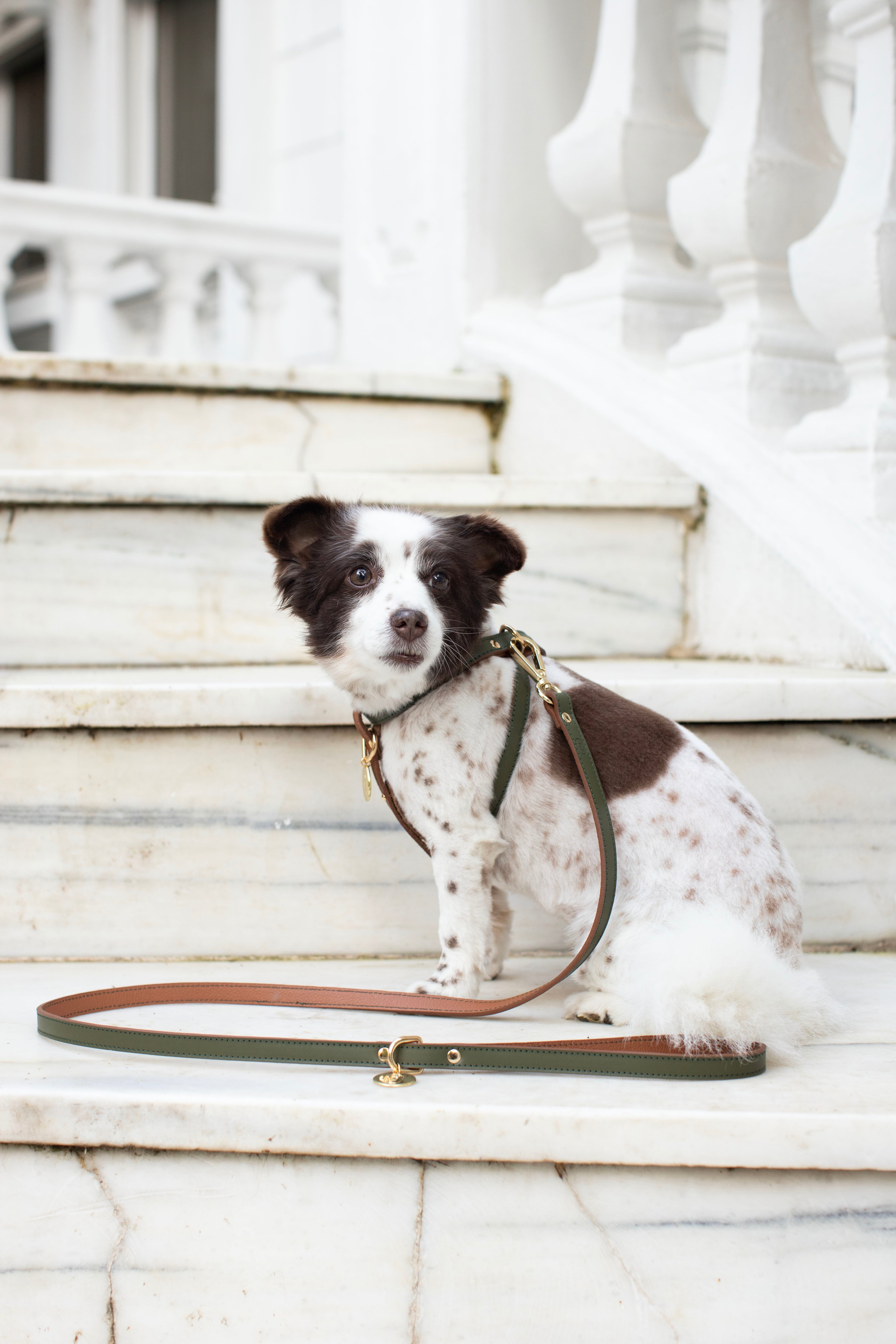 CROSS HARNESS IN ARMY-CARAMEL