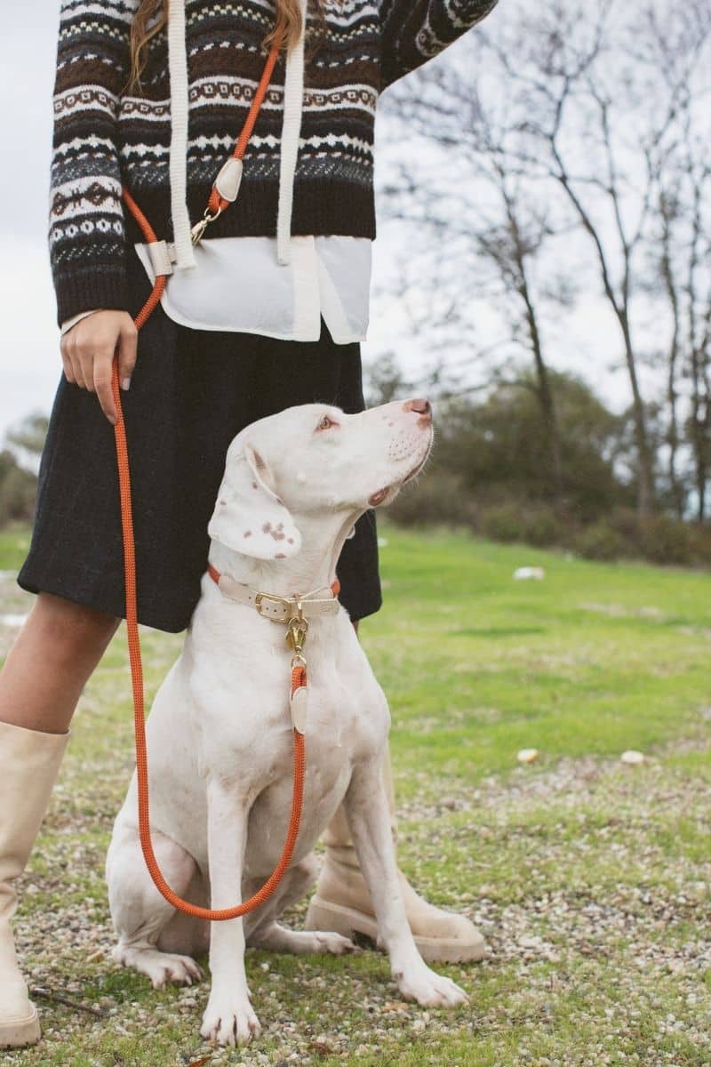 LOOP COLLAR IN RUSTY ORANGE
