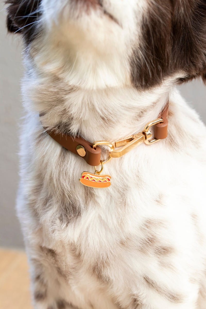 CHARM COLLAR IN BROWN