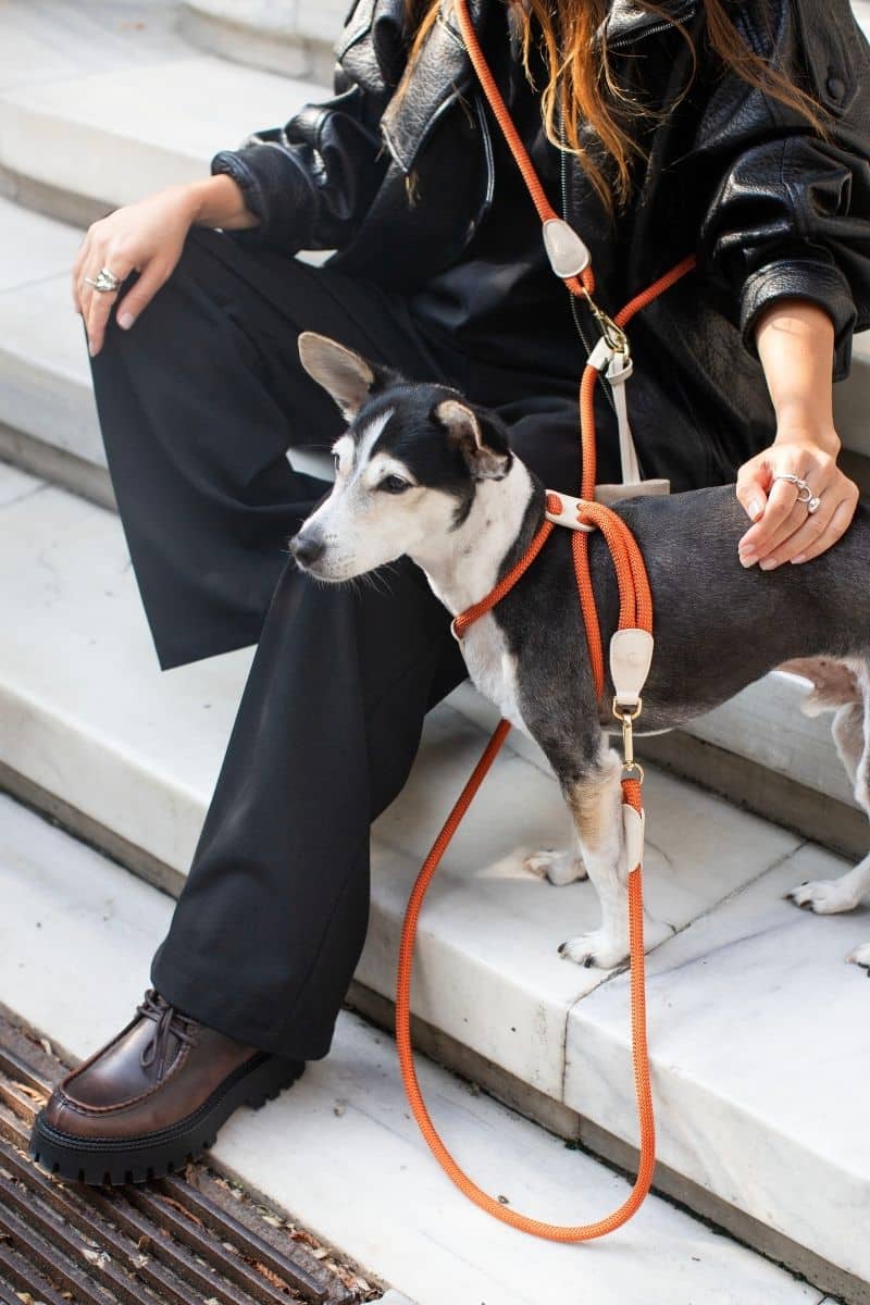 LOOP HARNESS IN RUSTY ORANGE