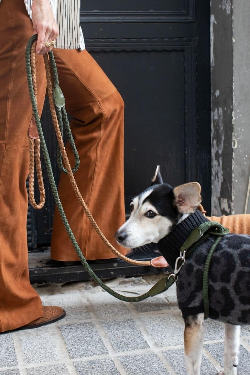 LOOP LEASH IN CARAMEL BROWN