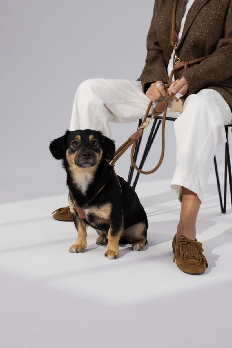 LOOP HARNESS IN CARAMEL BROWN