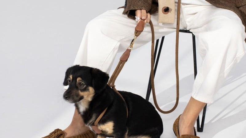 LOOP CROSSBODY LEASH IN CARAMEL BROWN