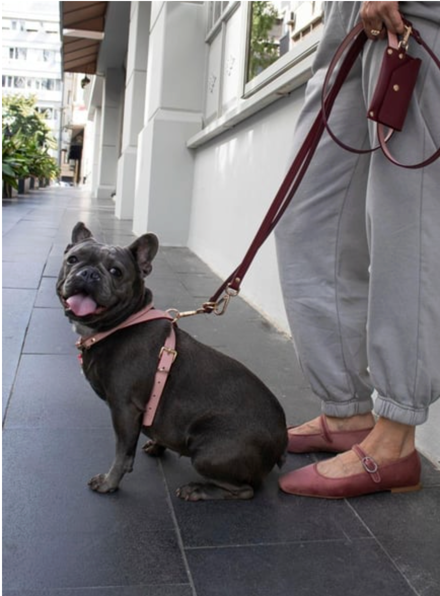 CROSS HARNESS IN PINK