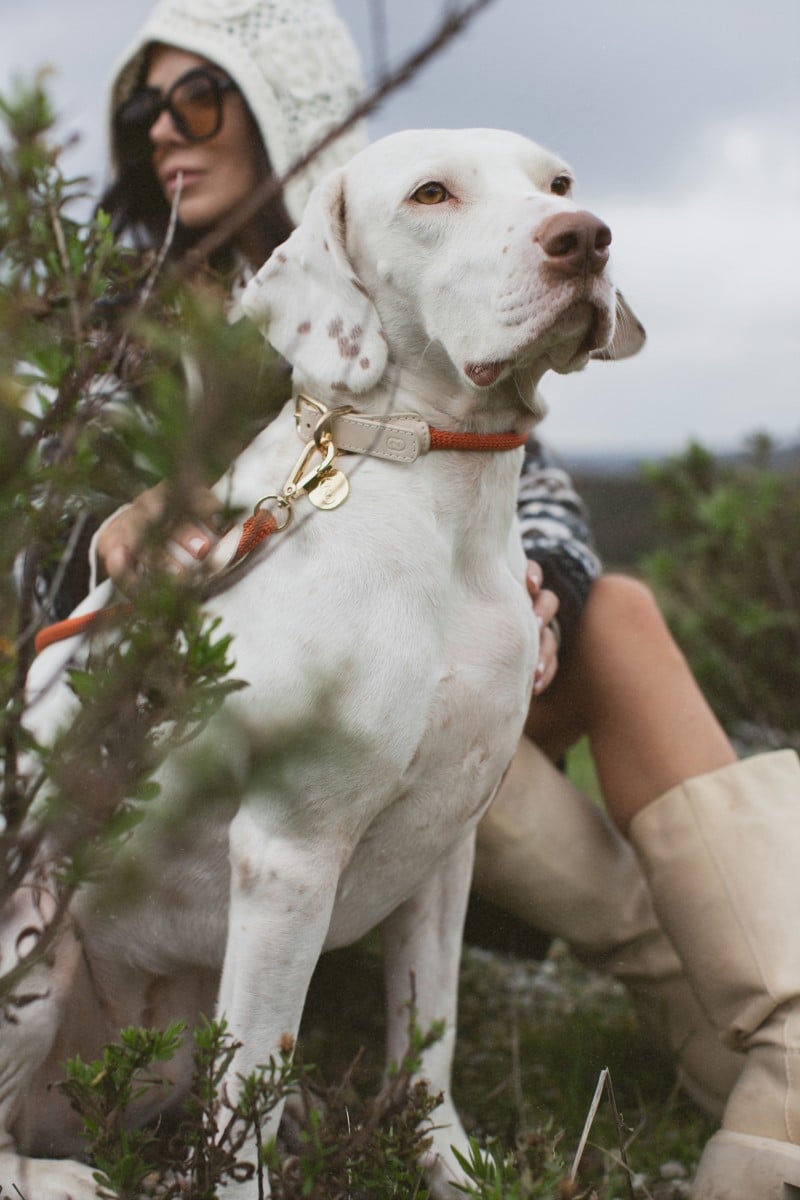 LOOP COLLAR IN RUSTY ORANGE