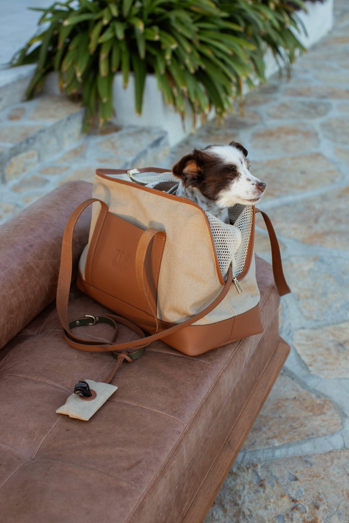 CITY CARRIER CARAMEL