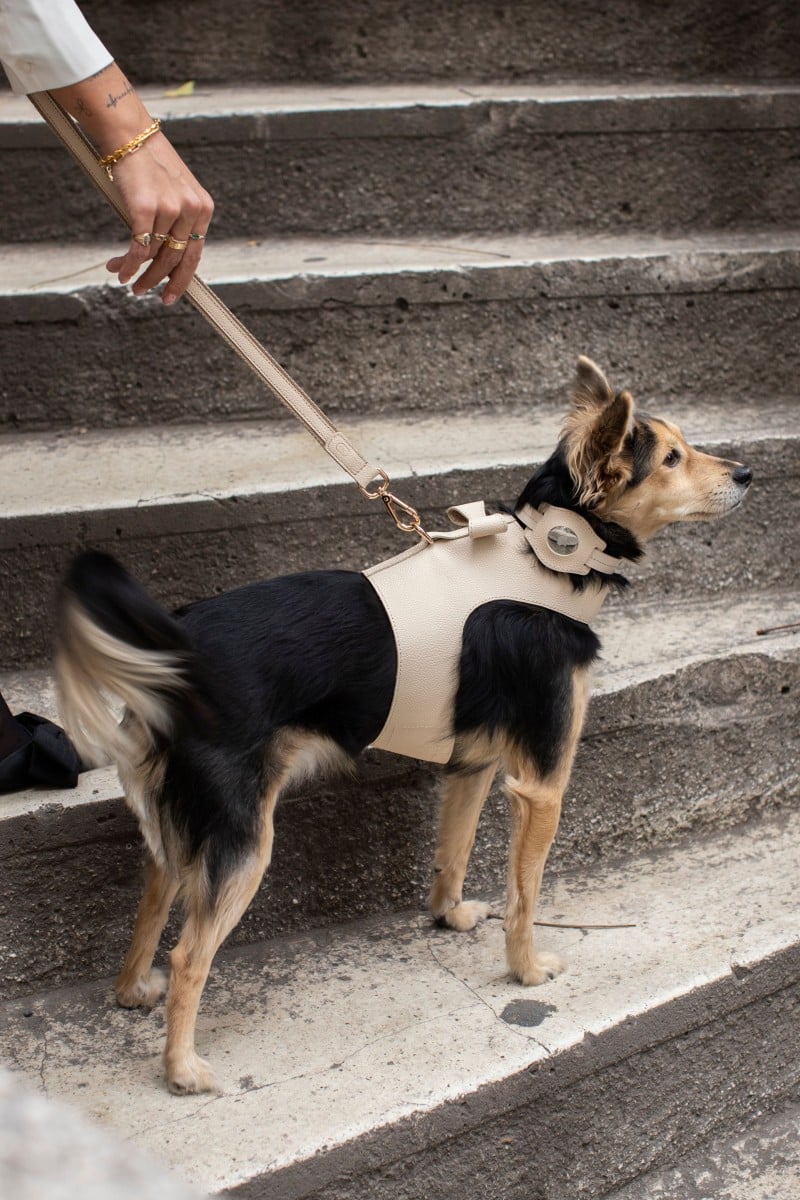 VEST HARNESS IN IVORY BEIGE