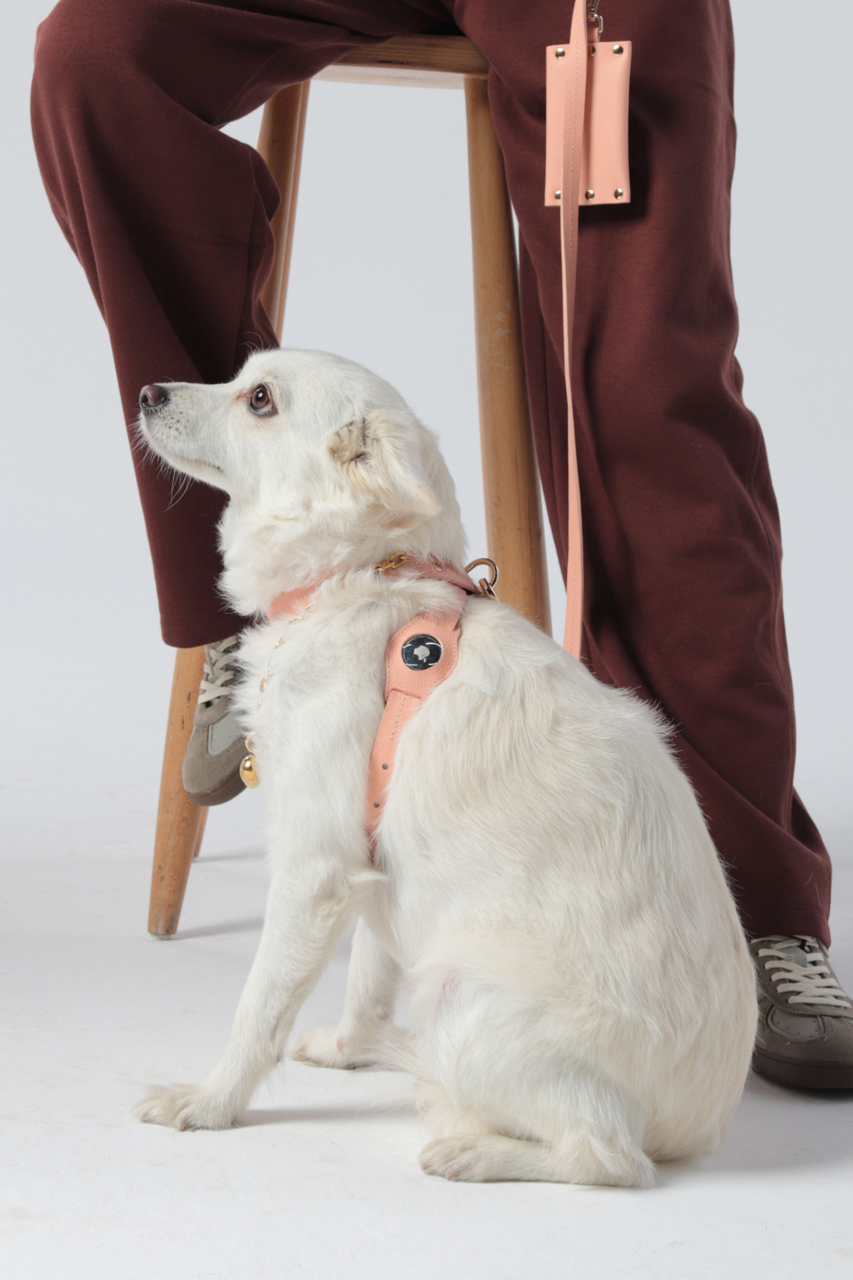CROSS HARNESS IN LIGHT PINK